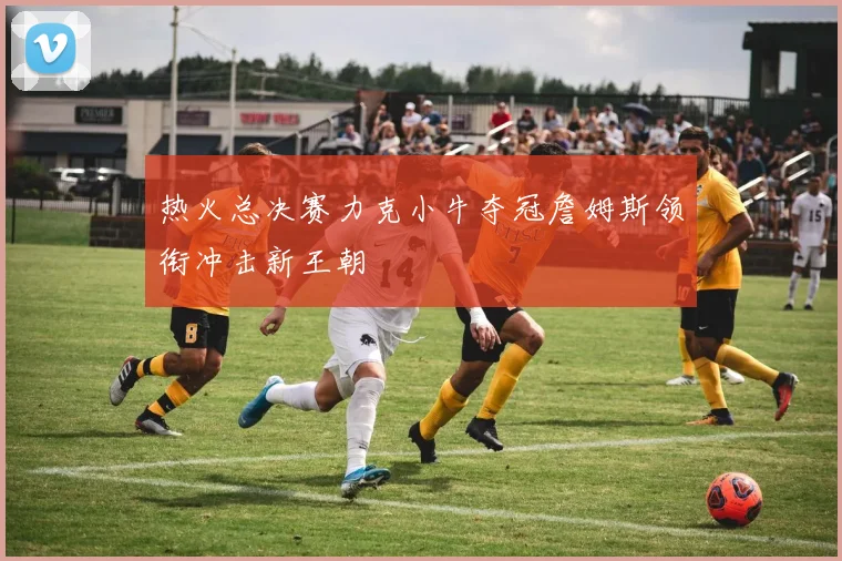 热火总决赛力克小牛夺冠詹姆斯领衔冲击新王朝