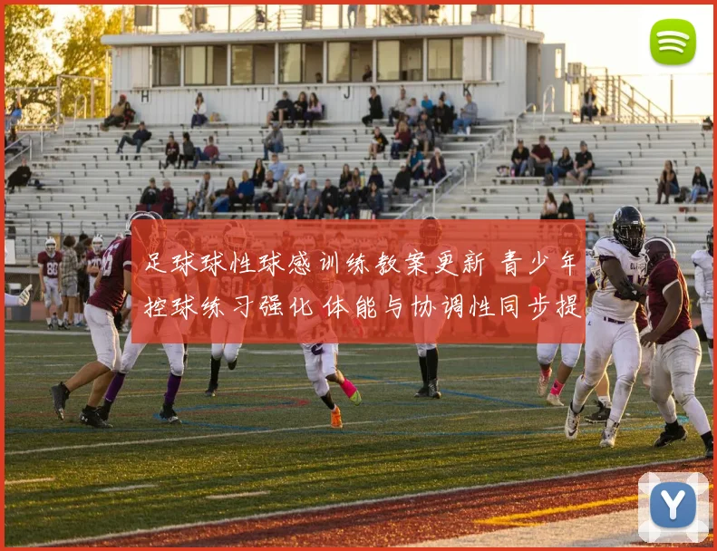 足球球性球感训练教案更新 青少年控球练习强化 体能与协调性同步提升